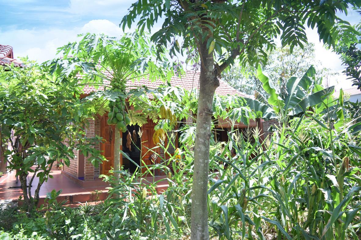 Van Long Family Homestay Ниньбинь Экстерьер фото